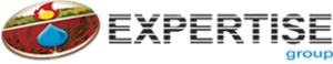 Expertise Training